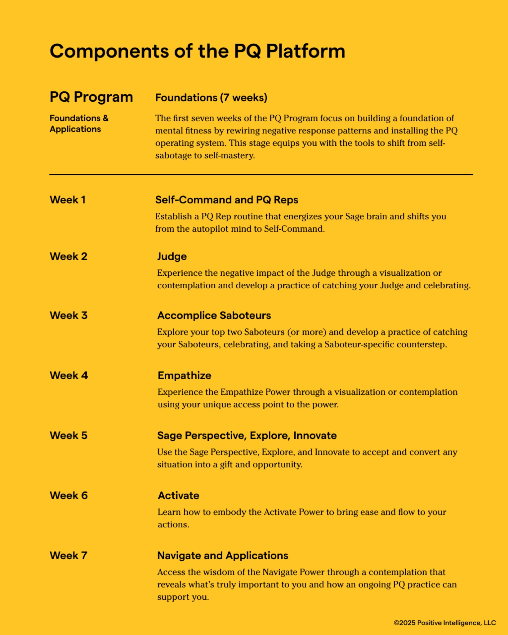 Broschüre the positive Intelligence Platform
